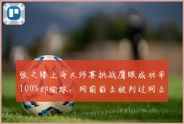 张之臻上海大师赛挑战鹰眼成功率100%却输球，网前截击被判过网击球引技术专家激辩